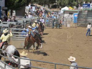 IMG_3829