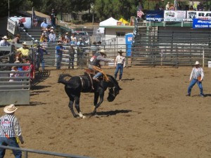 IMG_3857
