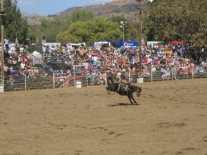IMG_3863