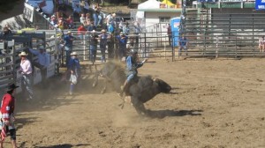 IMG_3912