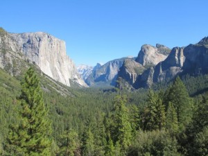 IMG_3961