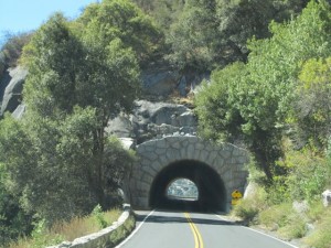 IMG_4016