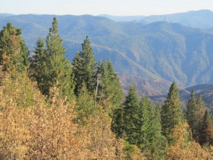 IMG_4035