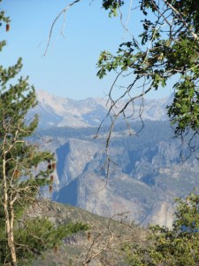IMG_4039