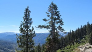 IMG_4180
