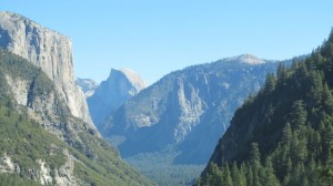 IMG_4224