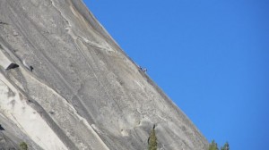 IMG_4344