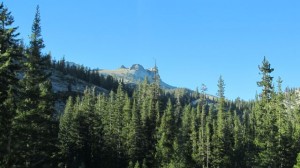 IMG_4358