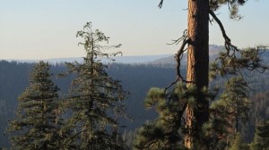 IMG_4367