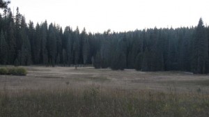 IMG_4382