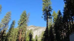 IMG_4416