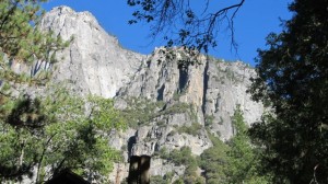 IMG_4433