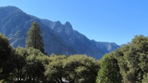 IMG_4491