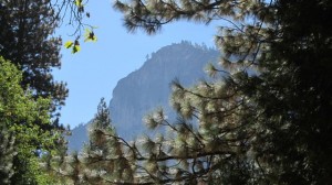 IMG_4501