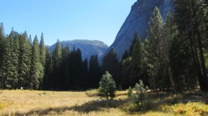 IMG_4517
