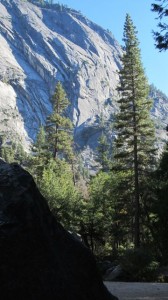 IMG_4594