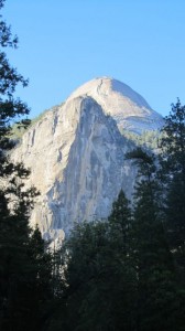 IMG_4652